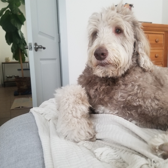 Meet your Posher, Stephanie - Picture 2 of 2